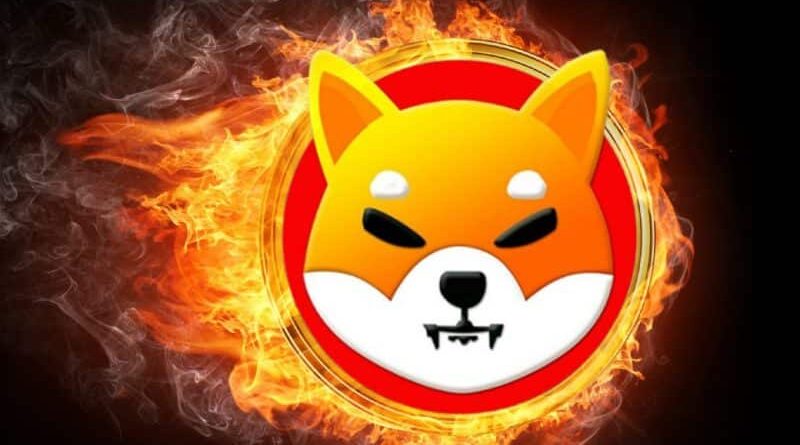 Shiba Inu coin price