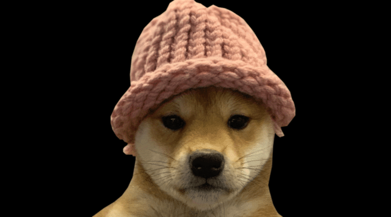Dogwifhat Price Prediction: WIF’s Recent Correction Was Too Good a Level Not to Buy as Traders Re-Enter the Meme Coin’s Charts WIF