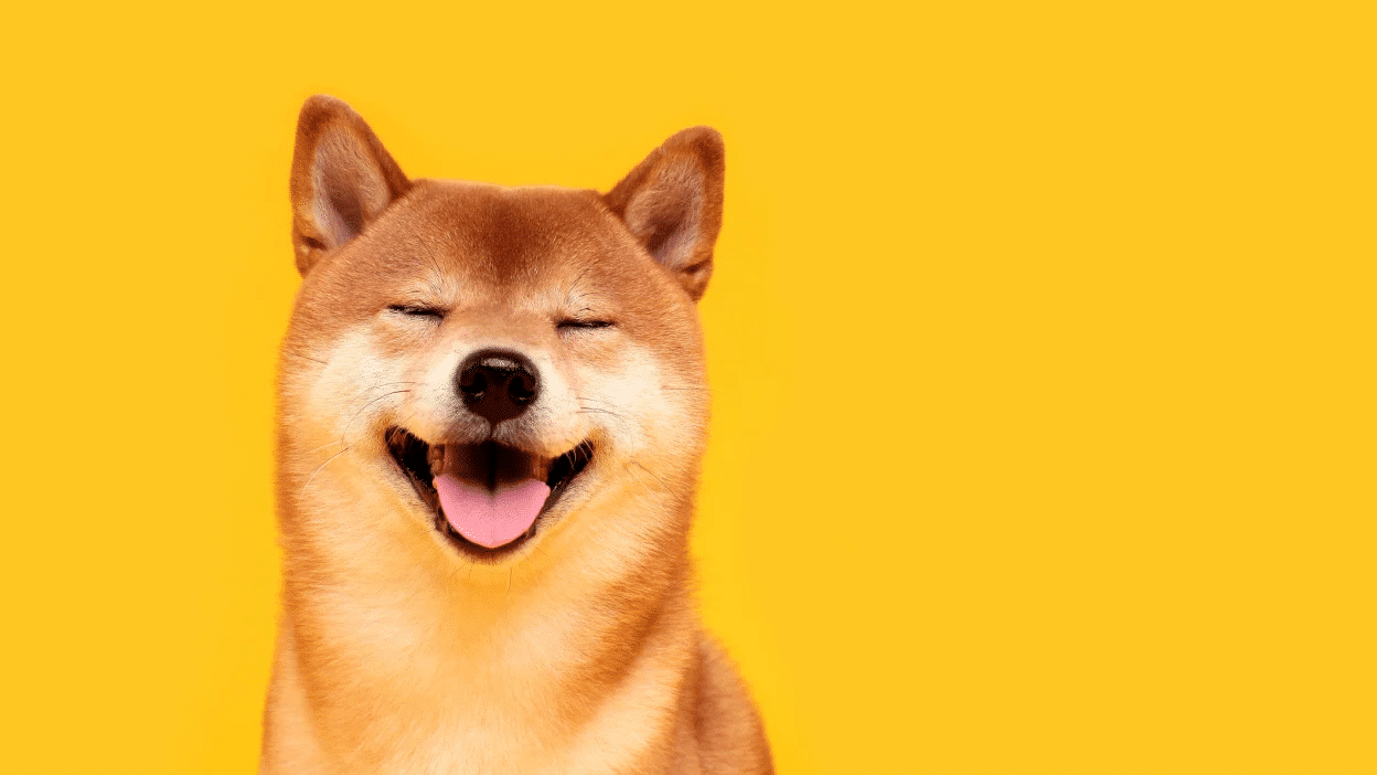 How to buy Dogecoin