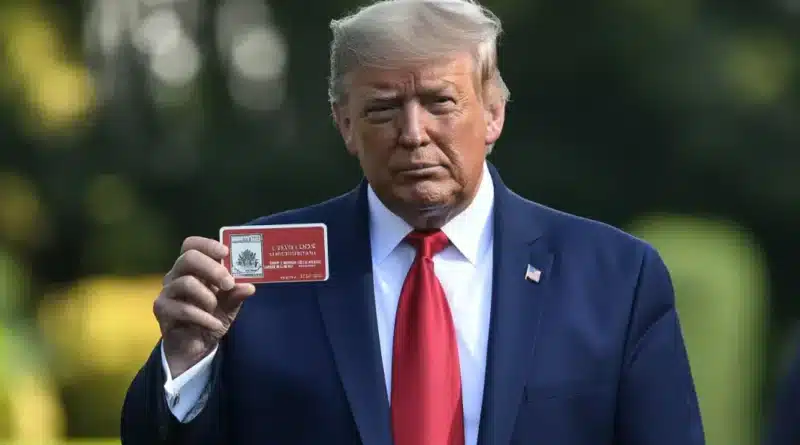 World Liberty Financial Launches KYC Verification with Trump Family Backing world liberty financial