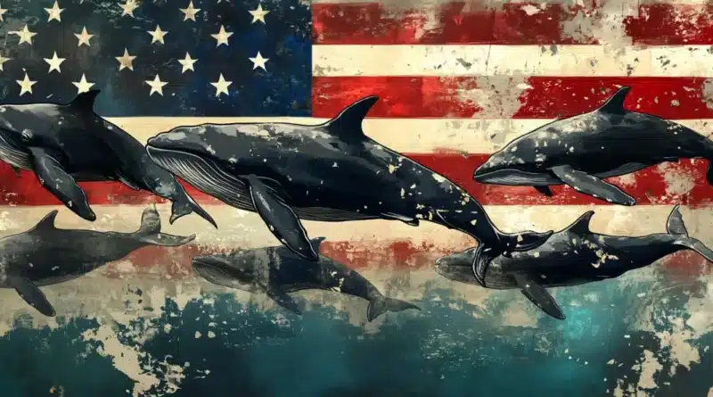 Polymarket Whales Cash In: Big Bets on Trump’s Victory Yield Millions in Profits polymarket whales