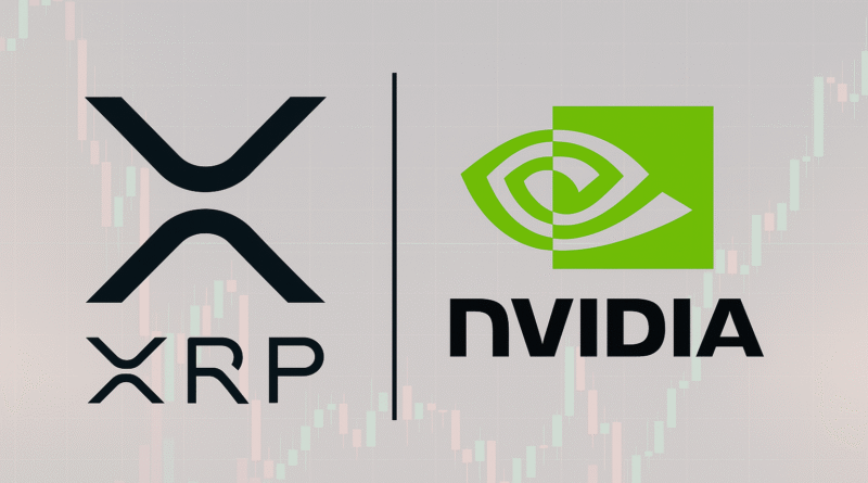 XRP and nvidia comparison