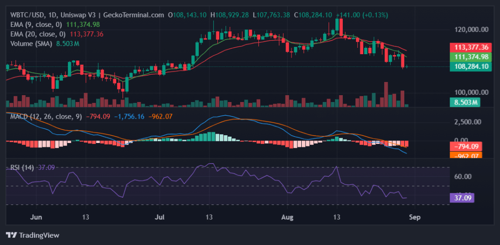 Daily chart for WBTC/USD
