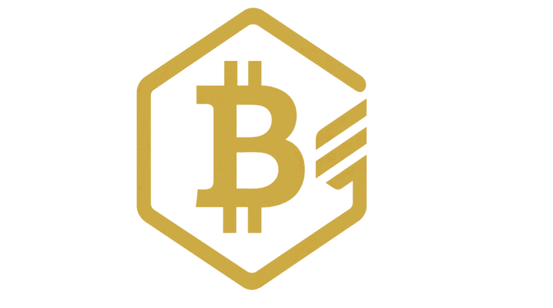 Bitcoin Gets a New Treasury Model With $100M BTCS Raise Bitcoin BTCS