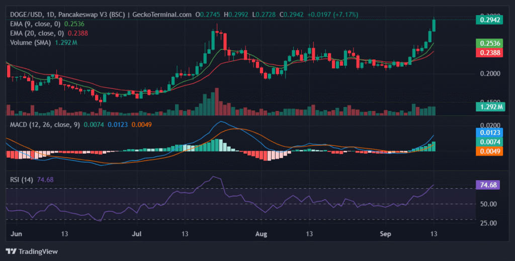 DOGE/USD daily chart