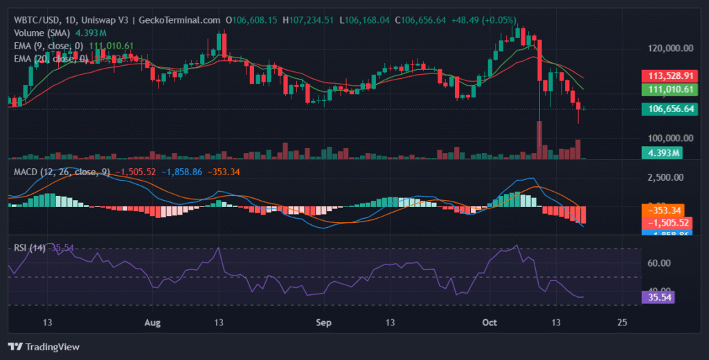 Andrew Tate Blames Overconfident Traders for Bitcoin’s Fall — Schiff Sees “Staggering Losses†Ahead Daily chart for WBTC/USD