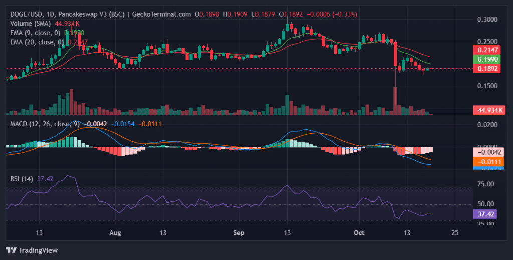 Daily chart for DOGE/USD