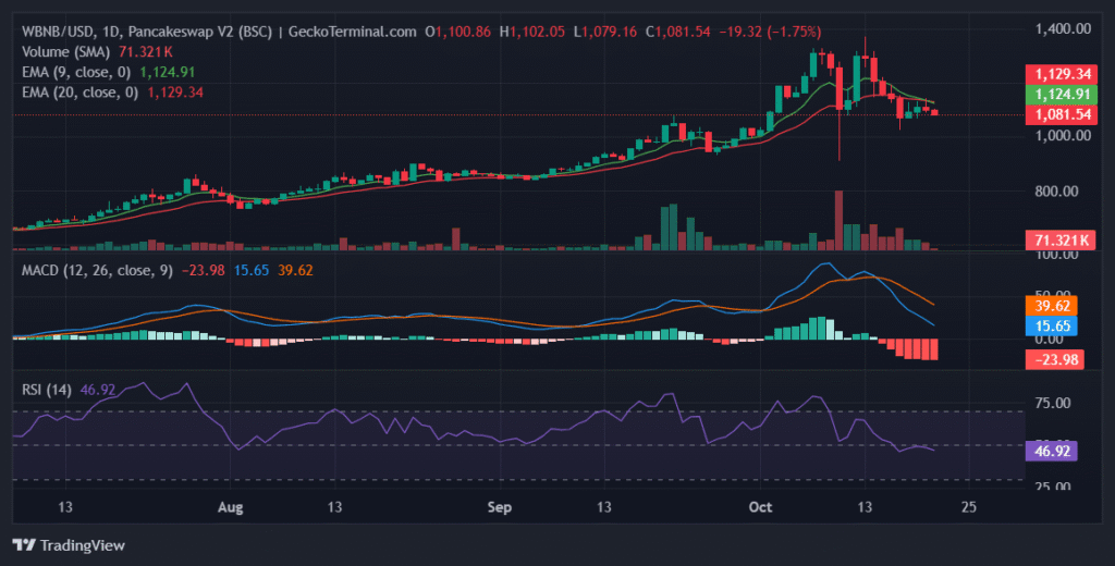 Daily chart for WBNB/USD