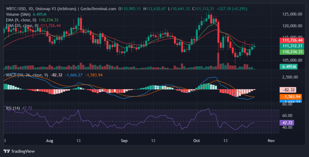 Bitcoin Price Flashes Reversal Signals — Can the Bulls Regain Control? Daily chart for WBTC/USD