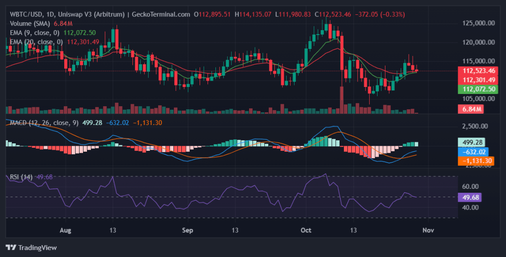 Daily chart for WBTC/USD