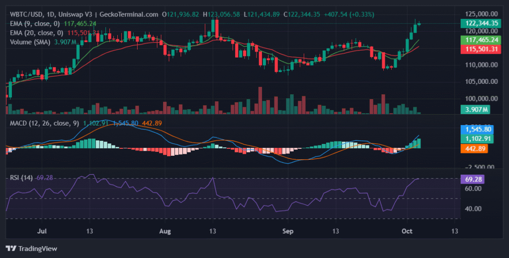 Bitcoin Eyes ATH as ETF Inflows Surge and Michael Van De Poppe Calls the “Start of a Big Bull Market†WBTC/USD daily chart