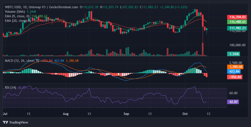 Daily chart for WBTC/USD