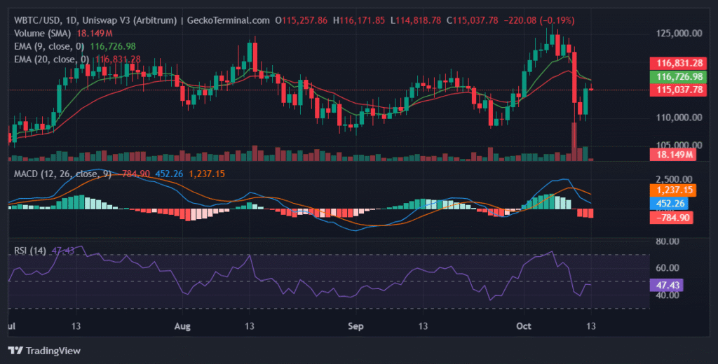 Bitcoin Bulls Re-Emerge After MARA Adds 400 BTC and Saylor Teases More Daily chart for WBTC/USD