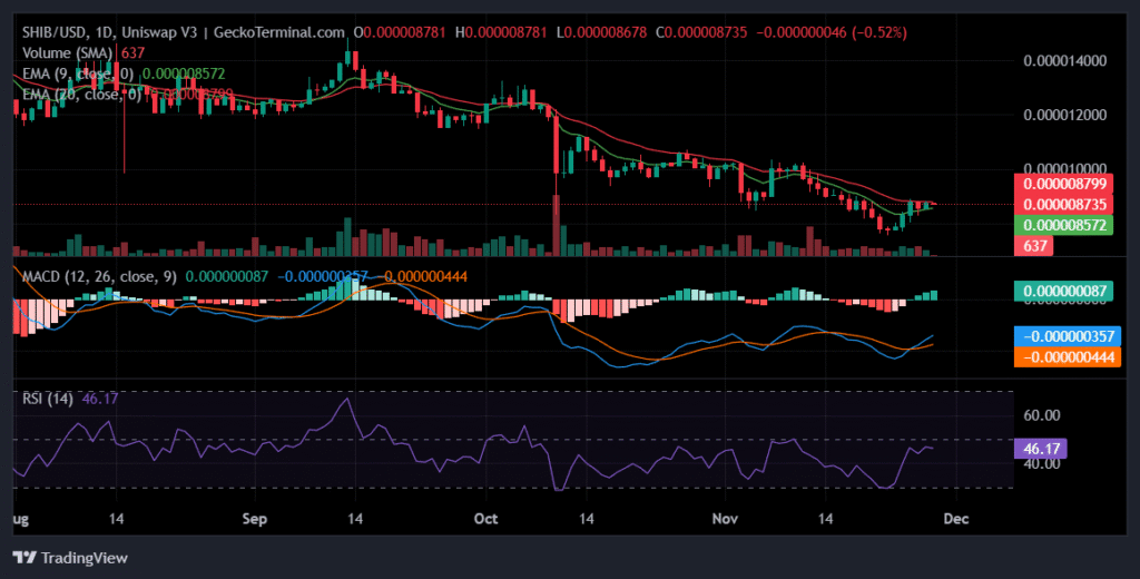 SHIB Traders Brace for Volatility as Liquidity Walls Threaten Huge Price Swings Daily chart for SHIB/USD
