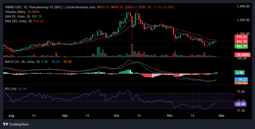 BNB Stalls Below $900 as Bears Tighten Control: Key Levels to Watch Daily chart for WBNB/USD