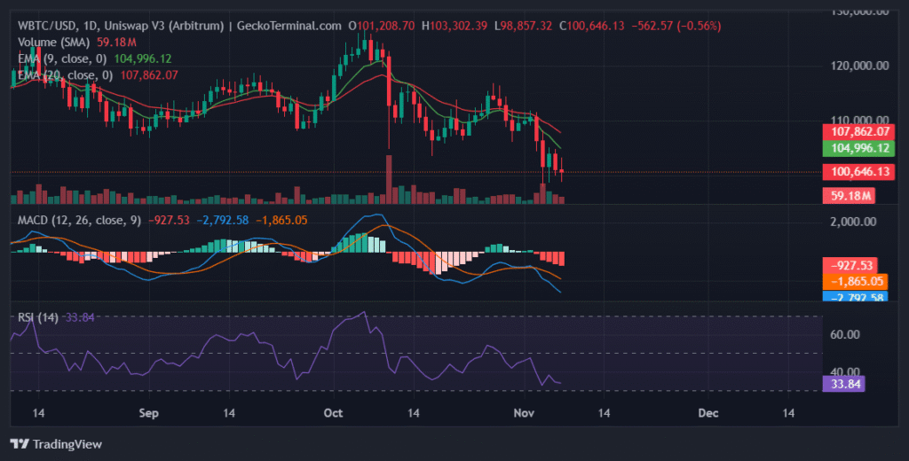 Can Bitcoin Hold $100K? Traders Brace for a Potential Drop Toward $96K Daily chart for WBTC/USD