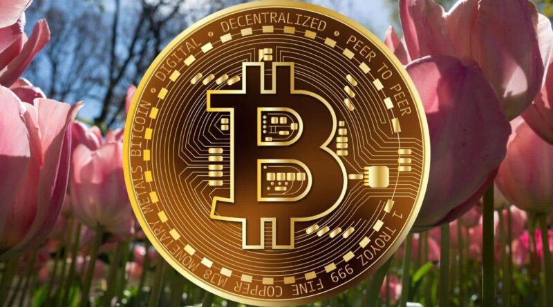 Bitcoin Finally Shakes the Tulip Bubble Label After 17 Years, Says Eric Balchunas bitcoin-tulip-debate