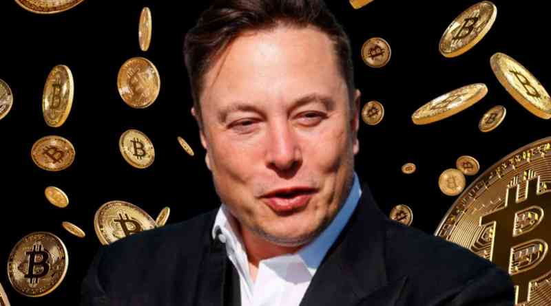 elon-musk-bitcoin