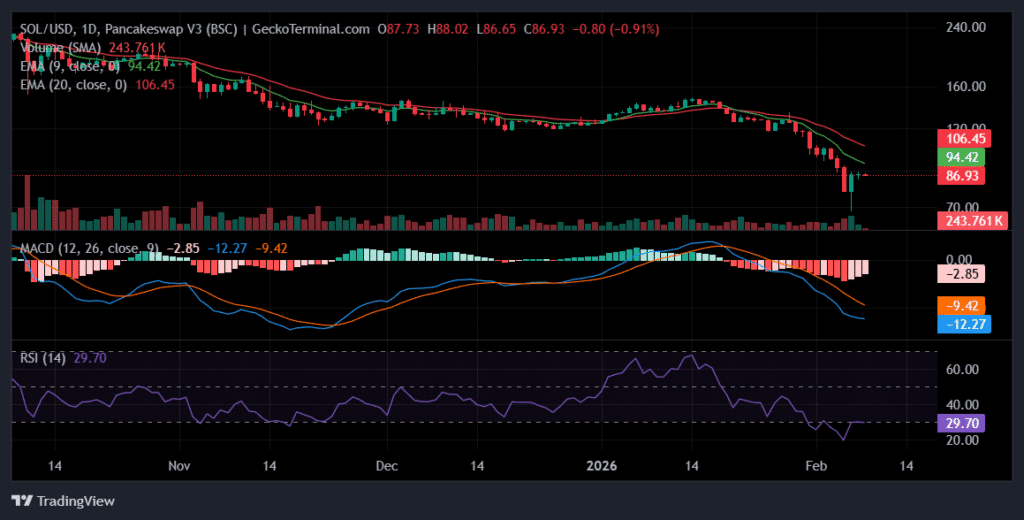 Solana Price Prediction: SOL Tests Major Bid Walls as Bearish Momentum Begins to Fade SOL/USD daily chart