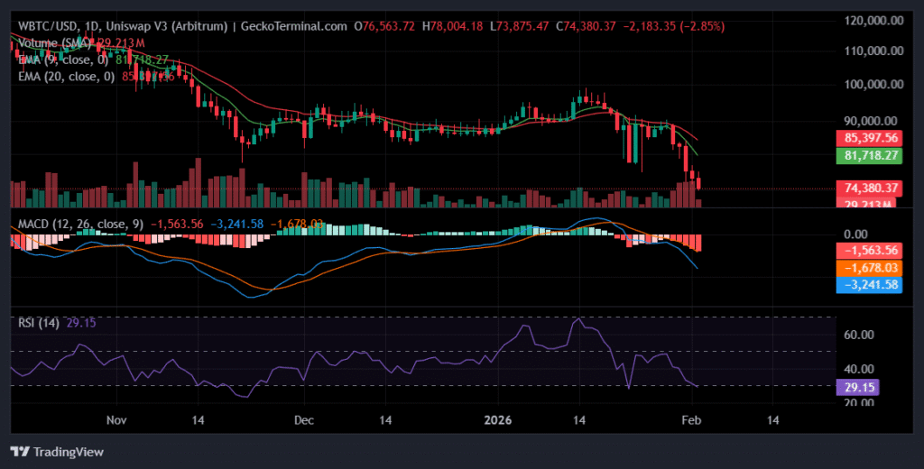 Bitcoin Price Prediction: Saylor Signals More Buying as BTC Slips Into Oversold Territory Daily chart for WBTC/USD